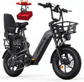 Bicicletta elettrica cargo familiare
