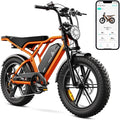 Bicicletta elettrica stile moto R002